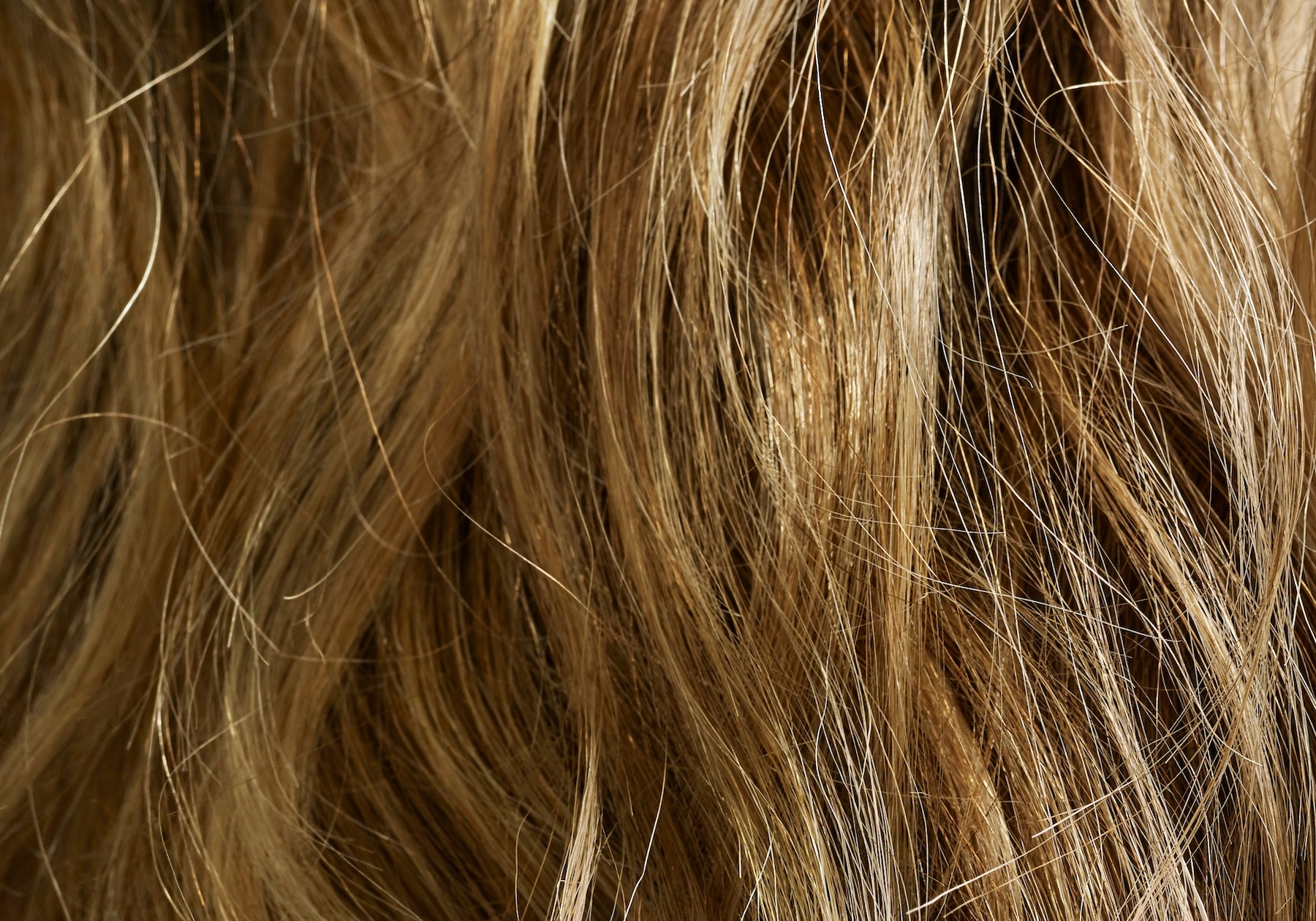 Summer Hair Must-Haves