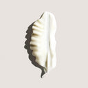 Priming Lotion Leave-In Conditioning Detangler