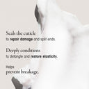 Eternal Curls Deep Treatment Masque