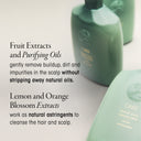 Eternal Curls Cleansing Crème