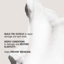 Eternal Curls Deep Treatment Masque
