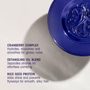 Run-Through Detangling Primer
