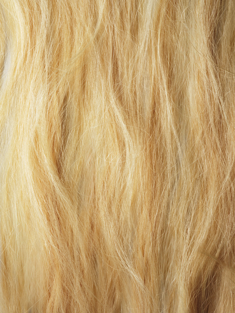 Before BLONDE